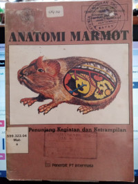 Image of ANATOMI MARMOT
