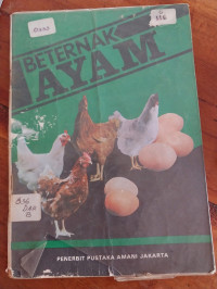 Image of Beternak ayam
