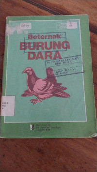 Image of Beternak burung dara