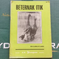Image of Beternak itik