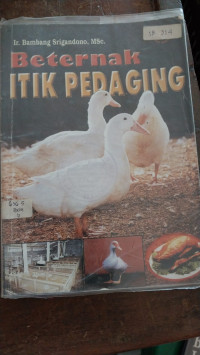 Image of Beternak itik pedaging