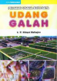 Image of PELUANG USAHA BUDI DAYA UDANG GALAH